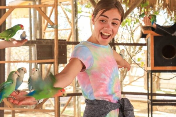 Animal-Sanctuary-Wild