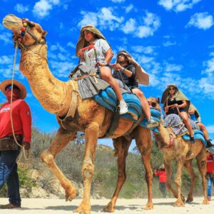 Camel Ride