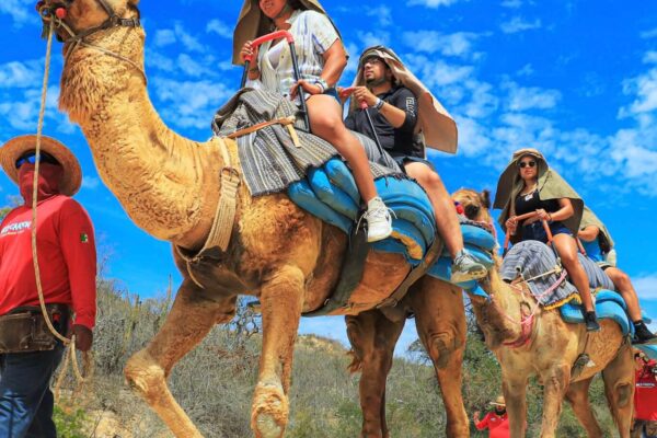 CAMELTOUR_WILDCANYON_93