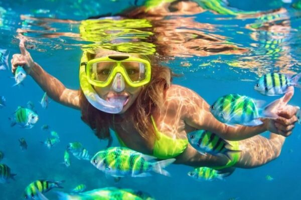 Snorkel