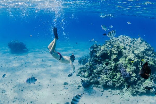 places-to-snorkel-in-cabo-san-lucas