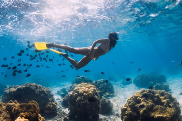 snorkel_0